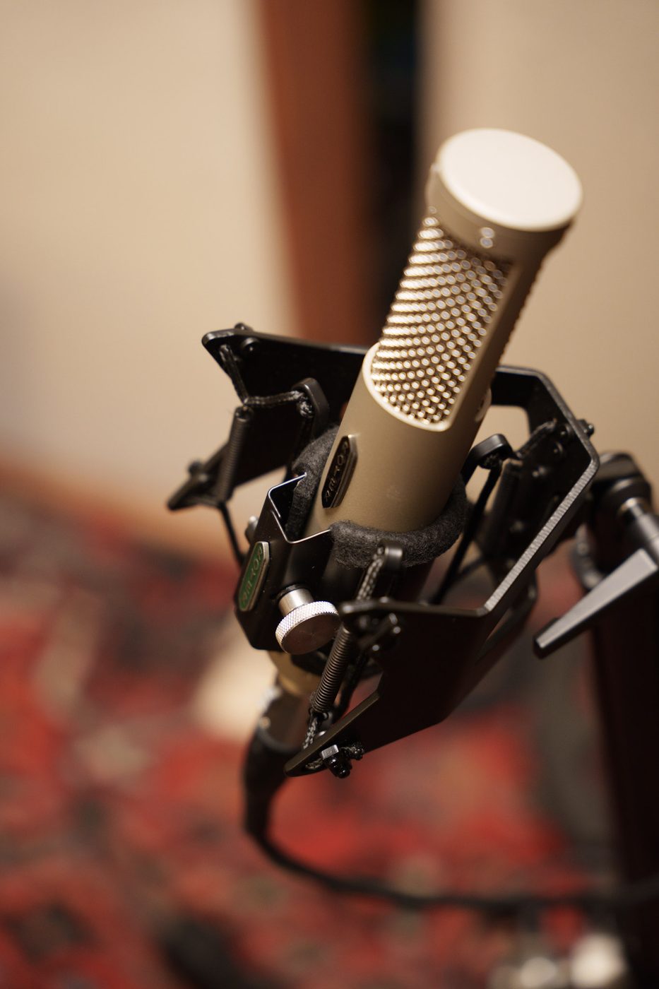 R-12 macro — capsule and shock mount detail