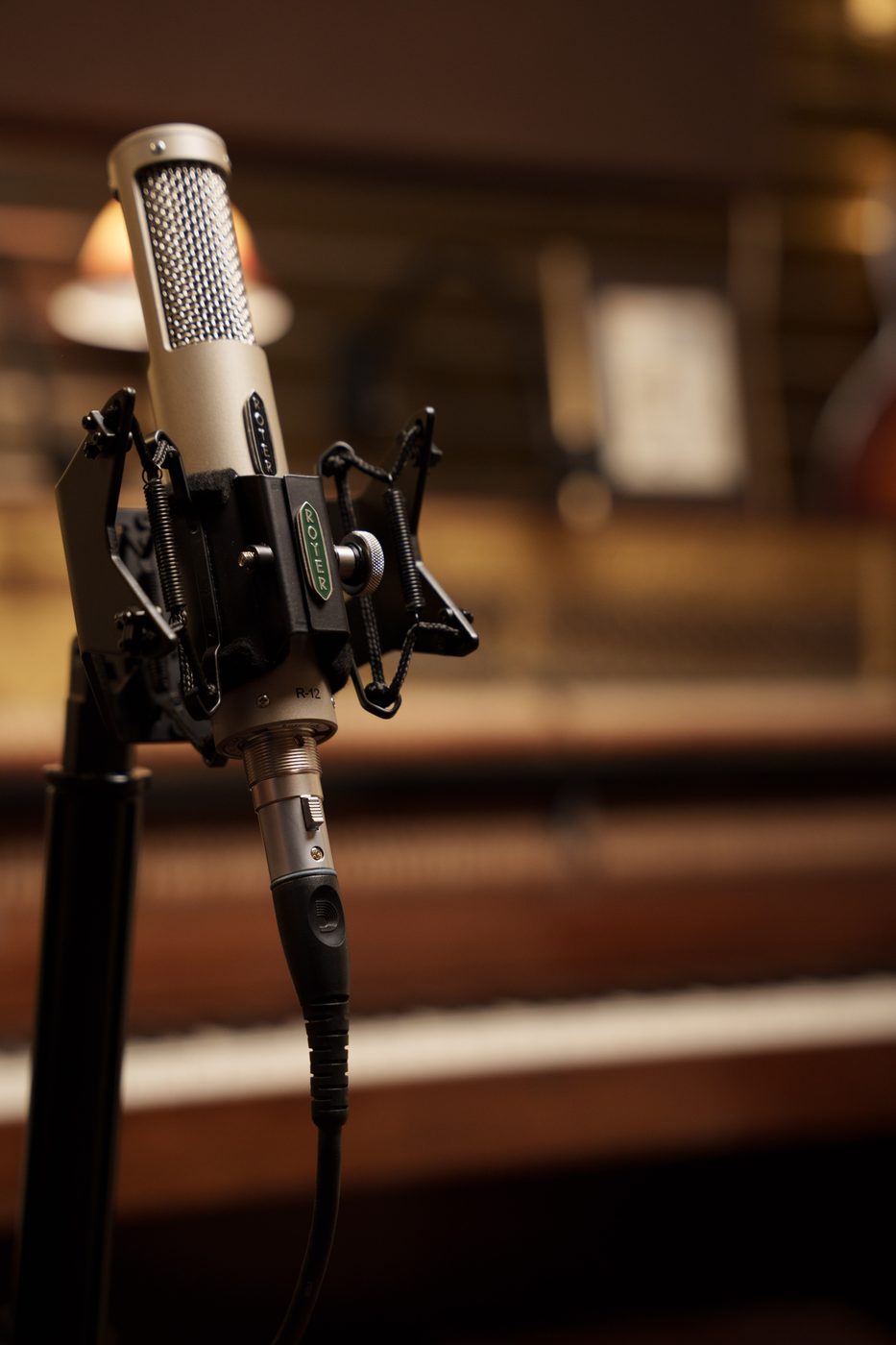 Royer R-12 with green Royer badge — studio bokeh